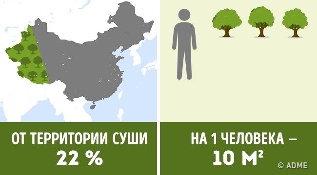 Блог - Сколько деревьев приходится на душу населения в разных странах мира Сколько деревьев приходится на душу населения в разных странах мира