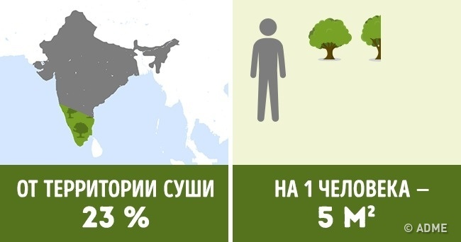 Блог - Сколько деревьев приходится на душу населения в разных странах мира Сколько деревьев приходится на душу населения в разных странах мира