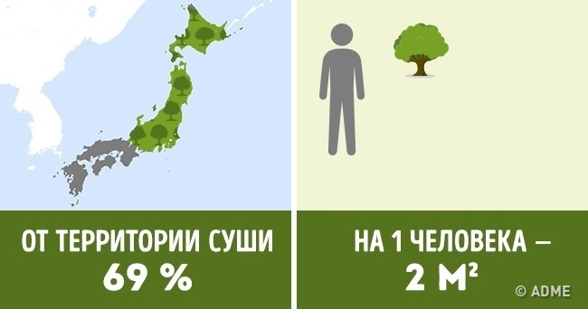 Блог - Сколько деревьев приходится на душу населения в разных странах мира Сколько деревьев приходится на душу населения в разных странах мира