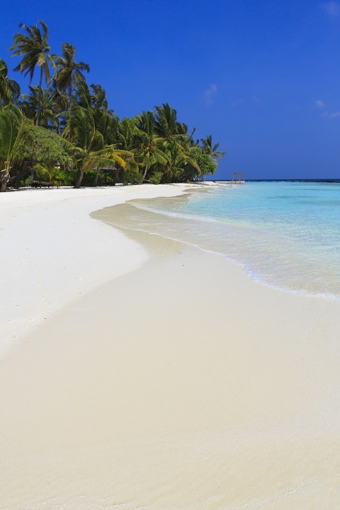 Блог - Экскурсия на местный остров в Kurumba Maldives Экскурсия на местный остров в Kurumba Maldives
