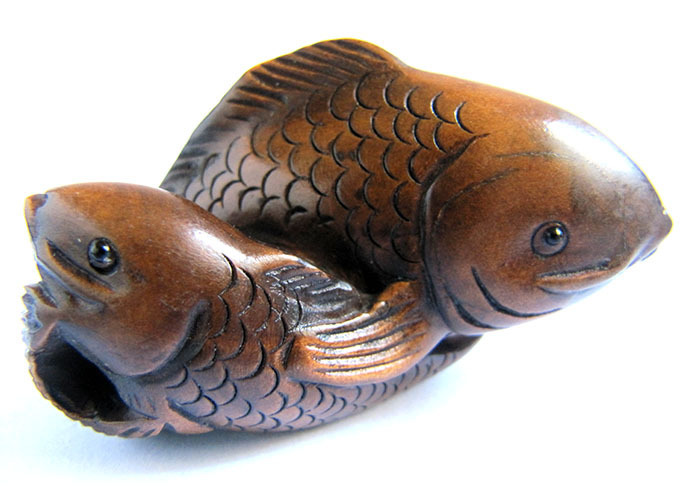 Ученые доказали, что рыбы умеют узнавать друзей по «лицам»