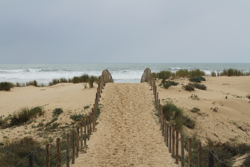 Дорога к океану, Кап-Ферре, ноябрь