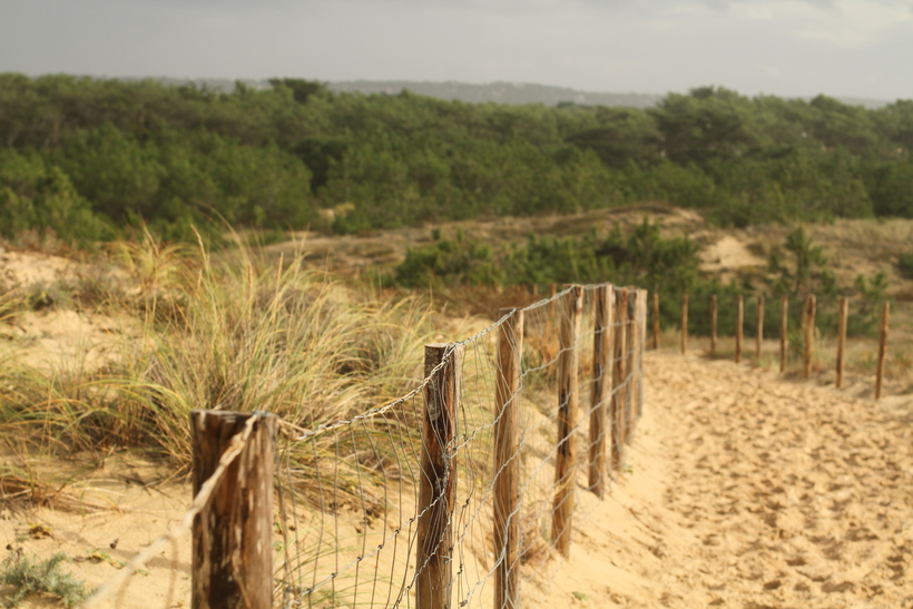 Атлантическое побережье, середина ноября