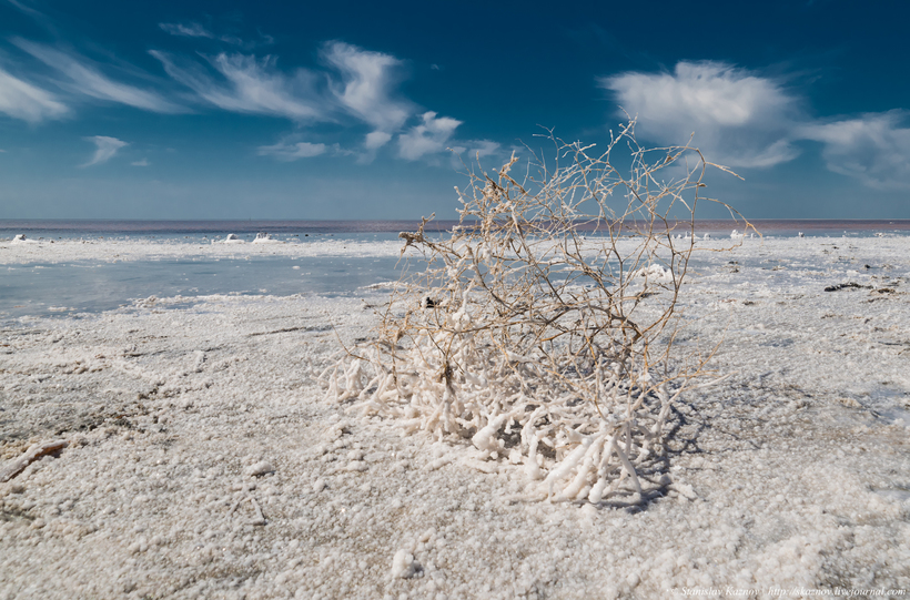 Природа, способная исцелить: самое соленое озеро России