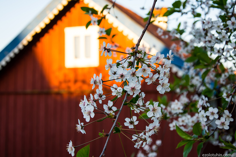 Чем может гордиться Литва: курорт на Куршской косе