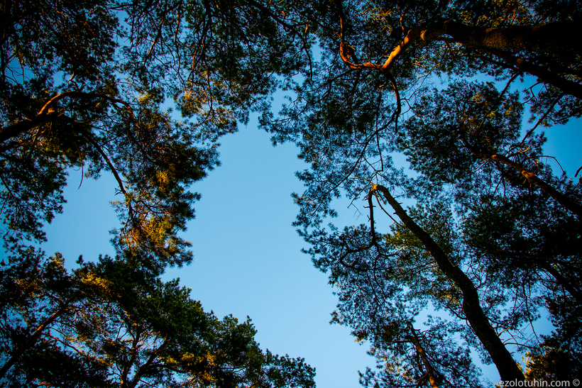 Чем может гордиться Литва: курорт на Куршской косе