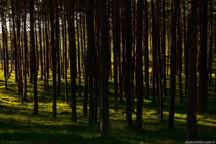 Чем может гордиться Литва: курорт на Куршской косе