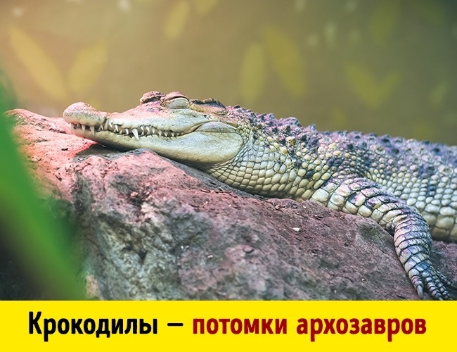 Блог - 10 фактов о планете Земля, которые станут неожиданным открытием 10 фактов о планете Земля, которые станут неожиданным открытием