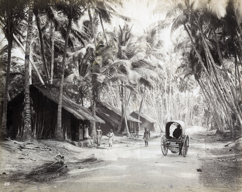 Блог - 17 редких фотографий повседневной жизни Шри-Ланки в 1880-х годах 17 редких фотографий повседневной жизни Шри-Ланки в 1880-х годах