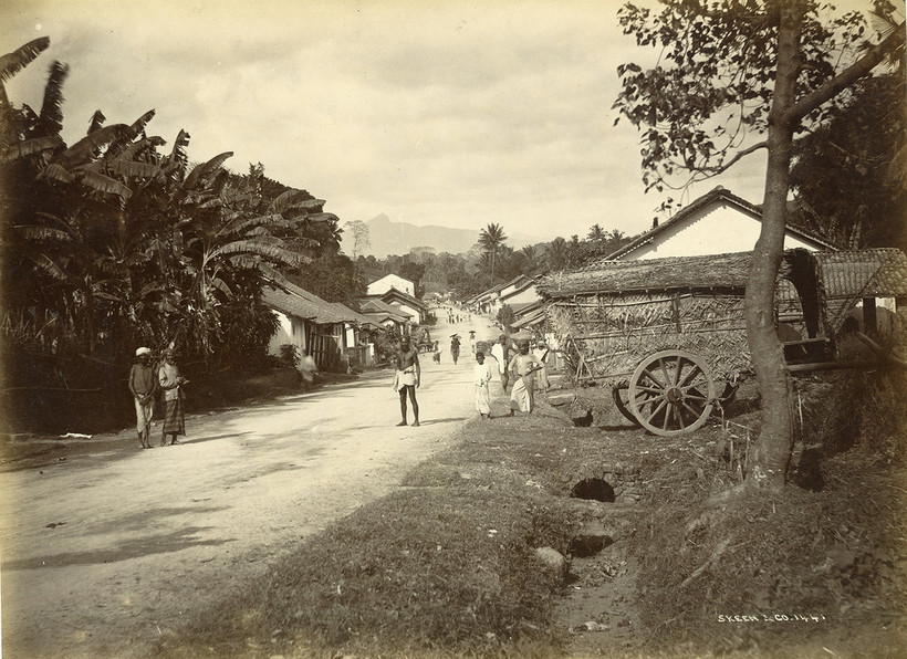 Блог - 17 редких фотографий повседневной жизни Шри-Ланки в 1880-х годах 17 редких фотографий повседневной жизни Шри-Ланки в 1880-х годах