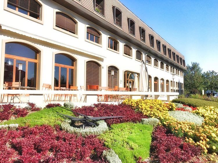 Как живут и учатся дети в самой дорогой школе мира, расположенной в Швейцарии