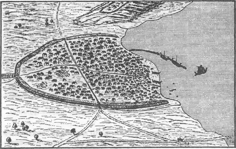 Викинги торговали рыбой с Европой уже тысячу лет назад