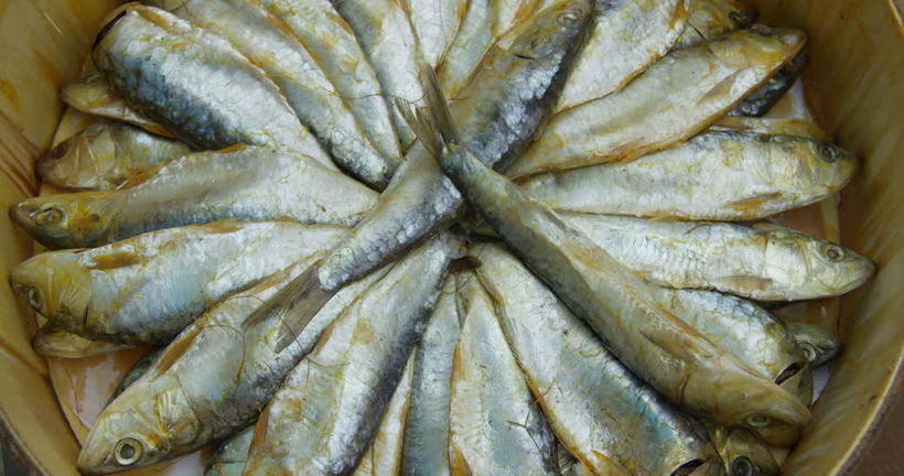 Викинги торговали рыбой с Европой уже тысячу лет назад