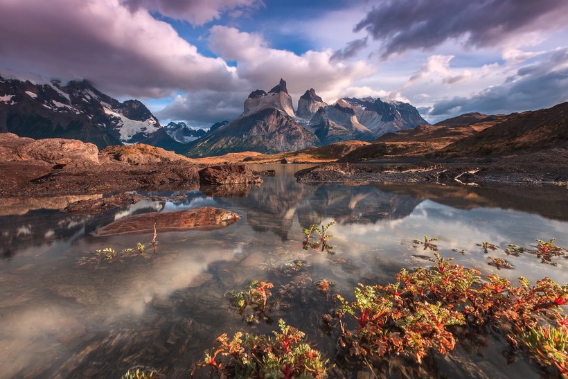 Блог - Конкурс Sony World Photography Awards 2016: фото, которые потрясли мир в прошлом году Конкурс Sony World Photography Awards 2016: фото, которые потрясли мир в прошлом году