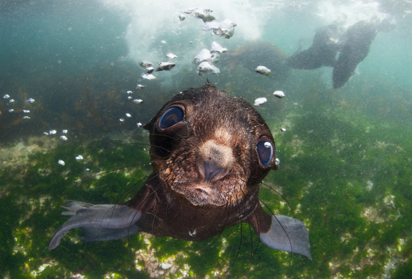 Блог - Конкурс Sony World Photography Awards 2016: фото, которые потрясли мир в прошлом году Конкурс Sony World Photography Awards 2016: фото, которые потрясли мир в прошлом году