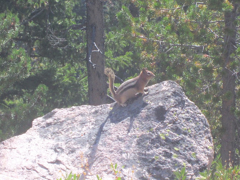 Солнечное затмение в национальном парке Sawtooth Wilderness