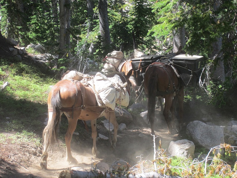 Солнечное затмение в национальном парке Sawtooth Wilderness