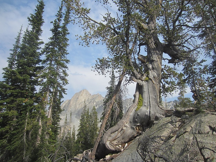 Солнечное затмение в национальном парке Sawtooth Wilderness
