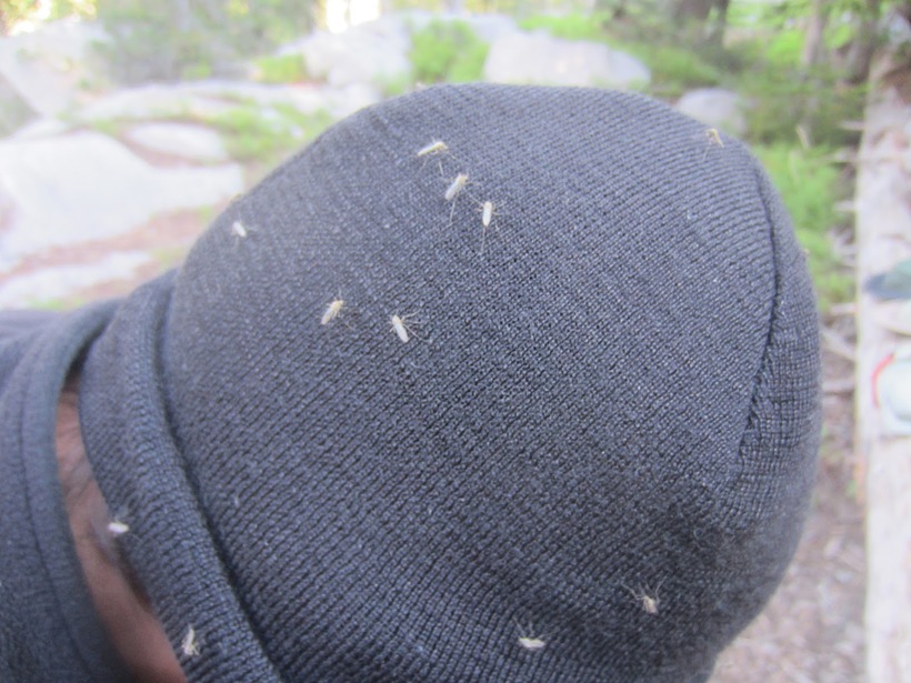 Солнечное затмение в национальном парке Sawtooth Wilderness