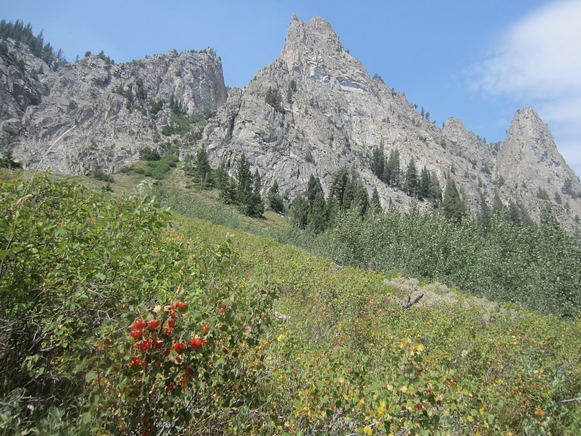 Солнечное затмение в национальном парке Sawtooth Wilderness