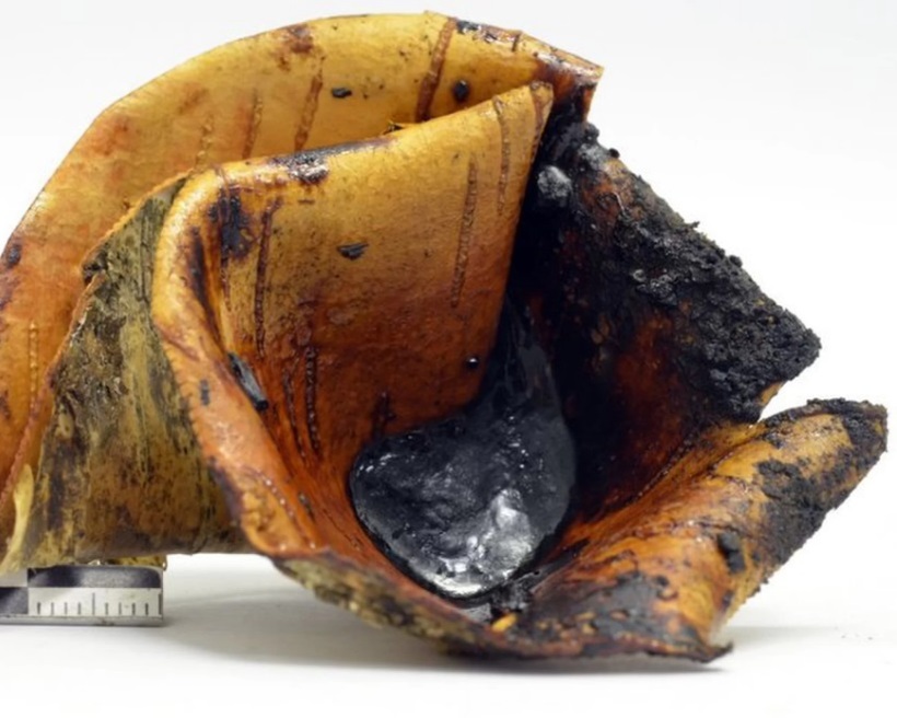 Блог - Неандертальцы начали варить смолу на 100 000 лет раньше людей Неандертальцы начали варить смолу на 100 000 лет раньше людей