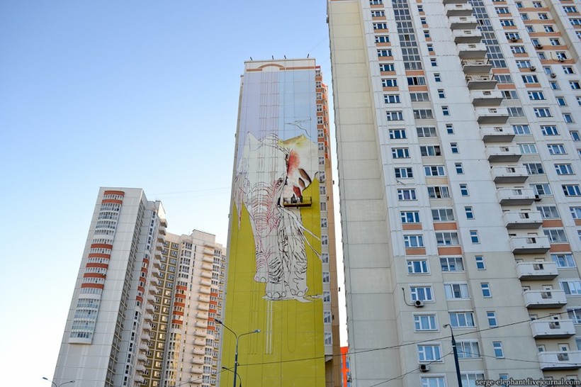 Блог - Самые лучшие граффити, найденные на улицах Москвы Самые лучшие граффити, найденные на улицах Москвы