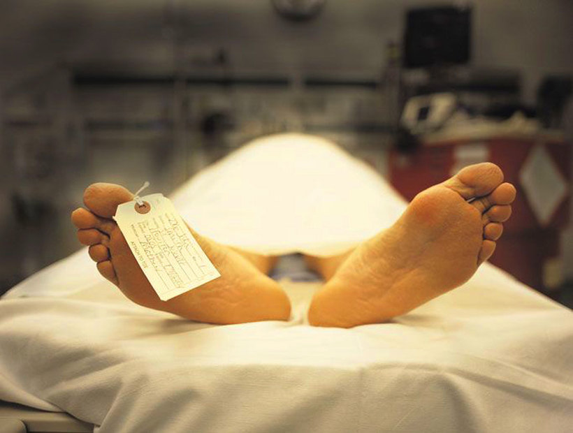 Не для впечатлительных: 15 фактов о теле человека, которые могут удивить