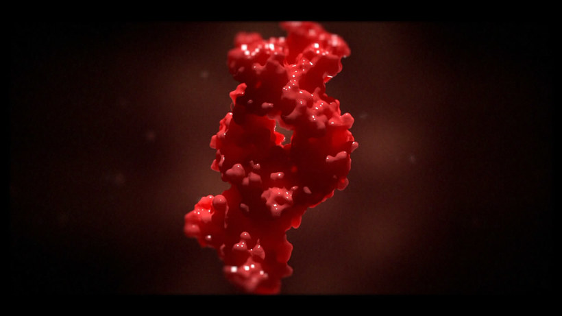 Не для впечатлительных: 15 фактов о теле человека, которые могут удивить