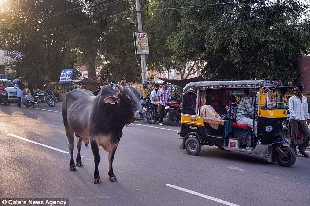 Самый большой неудачник: путешественника уже 10 лет преследуют неудачи по всему миру