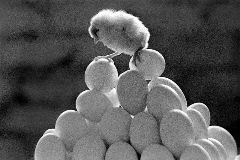 Блог - 24 самых значительных и интересных кадра, сделанных в СССР знаменитым фотографом 24 самых значительных и интересных кадра, сделанных в СССР знаменитым фотографом