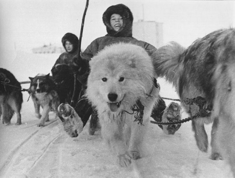 Блог - 24 самых значительных и интересных кадра, сделанных в СССР знаменитым фотографом 24 самых значительных и интересных кадра, сделанных в СССР знаменитым фотографом