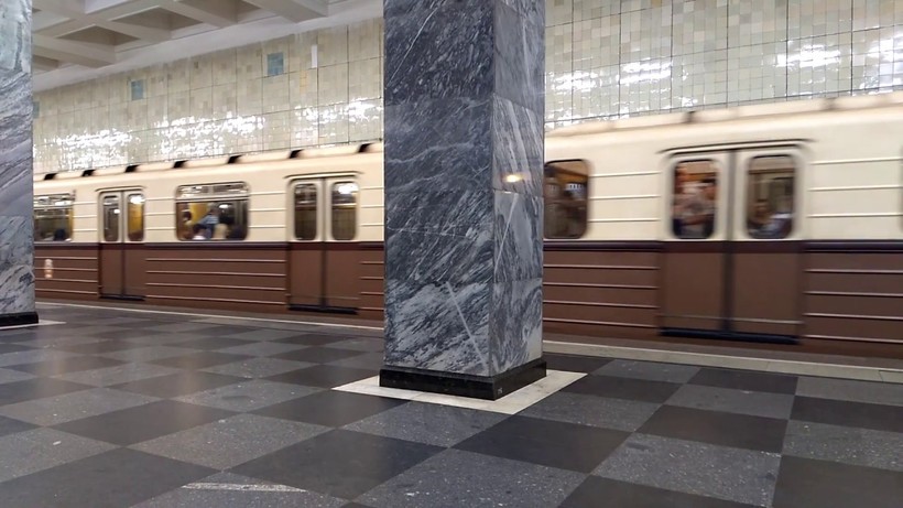 Блог - Древние обитатели московского метро, которым миллионы лет, у нас прямо под глазами Древние обитатели московского метро, которым миллионы лет, у нас прямо под глазами