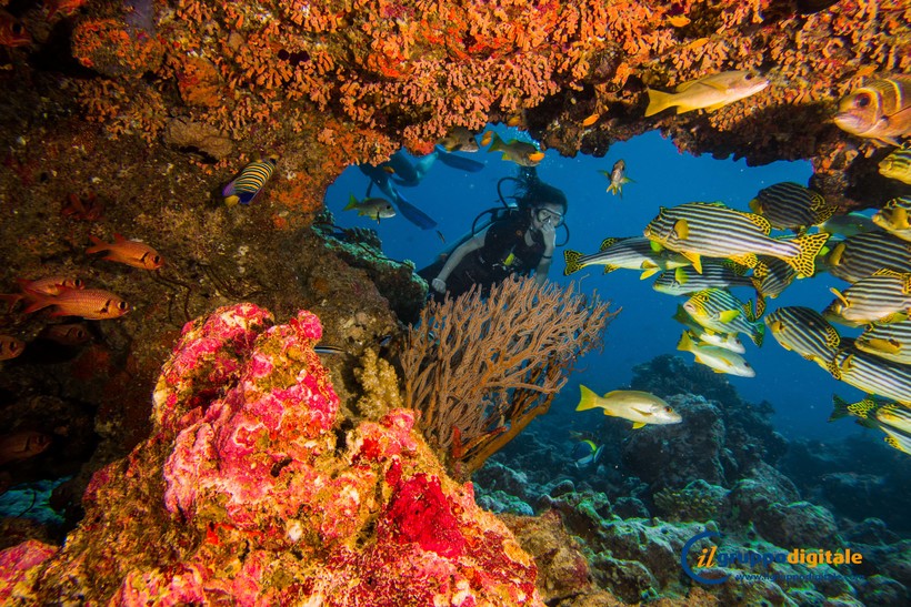 Блог - Dhigali Maldives превращает «полный пансион» во «все включено» Dhigali Maldives превращает «полный пансион» во «все включено»