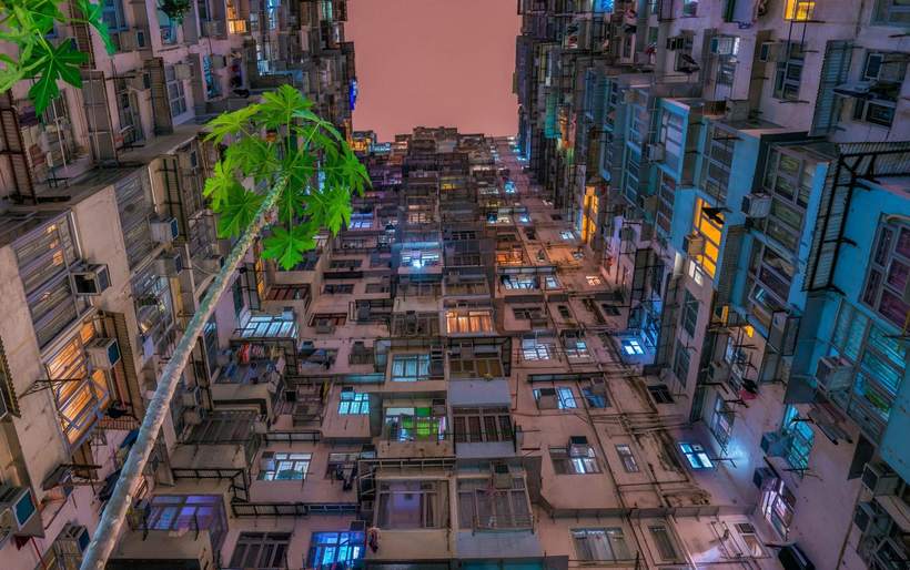 Лучшие фотографии международного экологического конкурса, трогающие до глубины души