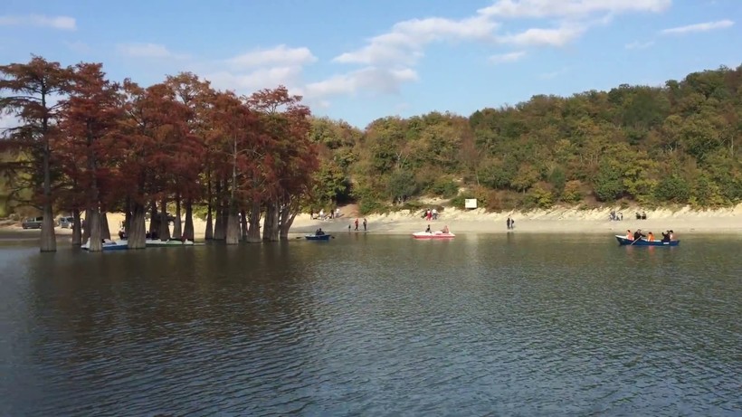 Кипарисы осенью