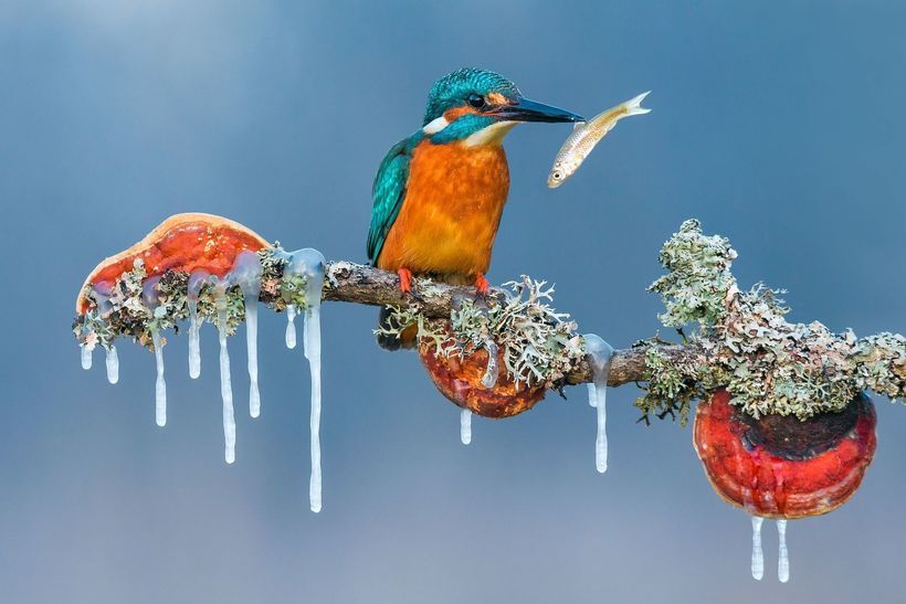 Блог - 20 мощных снимков конкурса Siena International Photo Awards 20 мощных снимков конкурса Siena International Photo Awards