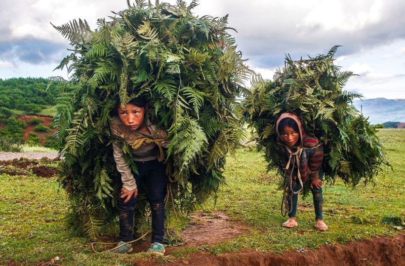 Блог - 20 мощных снимков конкурса Siena International Photo Awards 20 мощных снимков конкурса Siena International Photo Awards