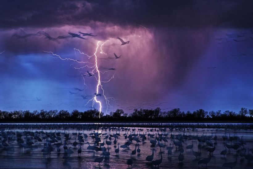 Блог - 20 мощных снимков конкурса Siena International Photo Awards 20 мощных снимков конкурса Siena International Photo Awards