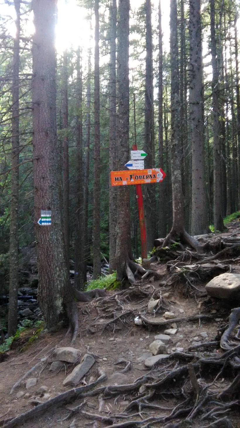 Way to Goverla