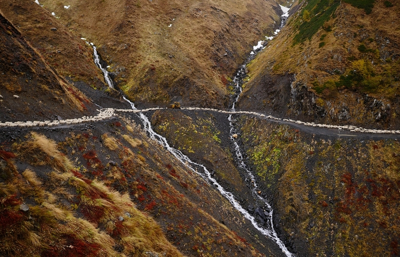 «Смертельно пьяное путешествие»: осенний перегон овец в горах Кавказа