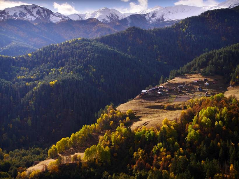 «Смертельно пьяное путешествие»: осенний перегон овец в горах Кавказа