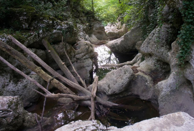 Река рядом с Агурскими водопадами