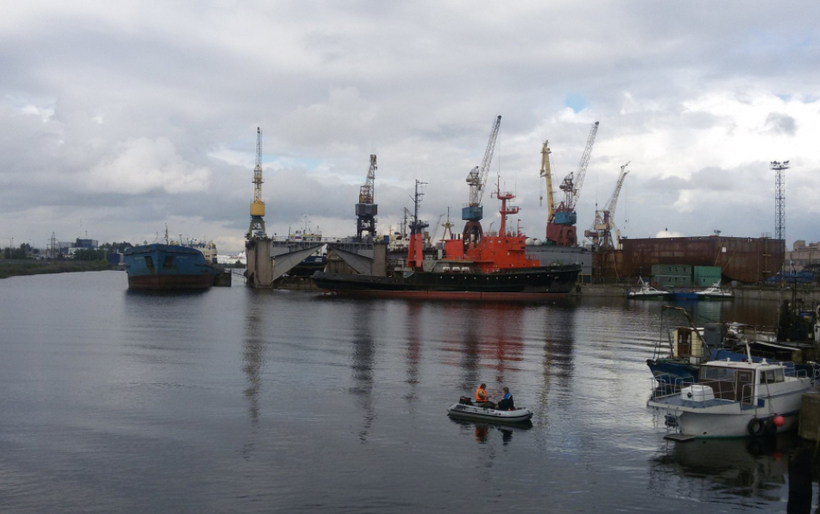 Канонерский остров - окно в морскую жизнь