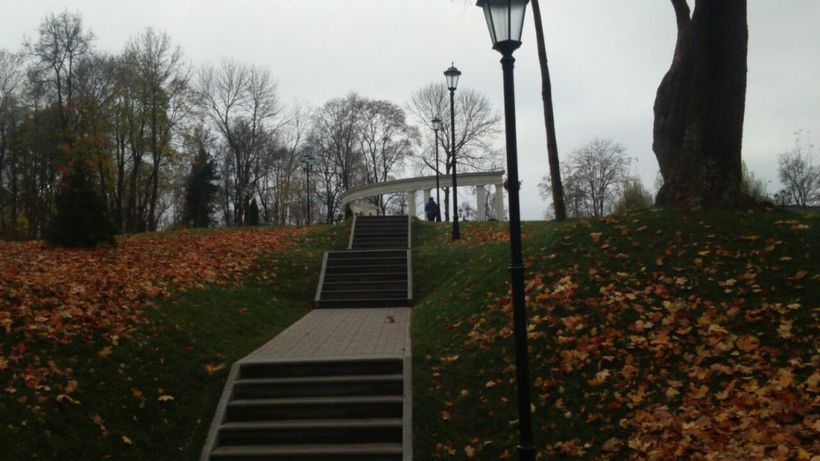 Новые ступеньки