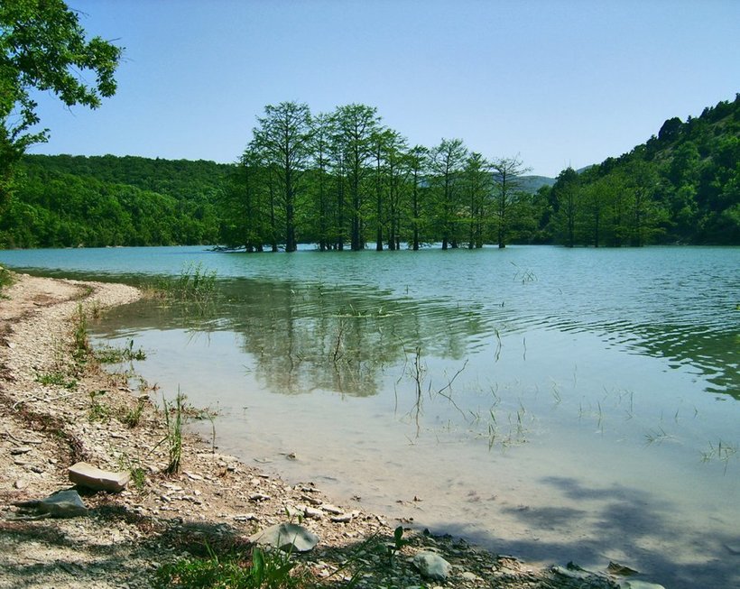 Илистое дно озера