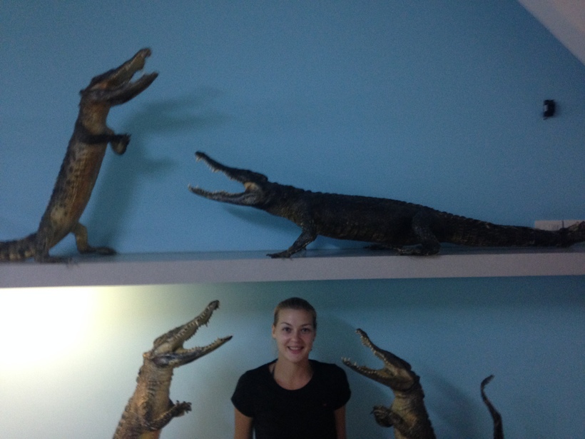 Я с чучелами крокодильчиков