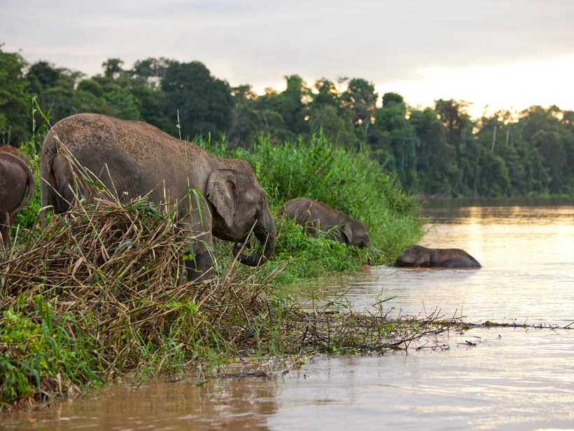 15 вдохновляющих фото Малайзии, после которых вы купите билет в эту страну 