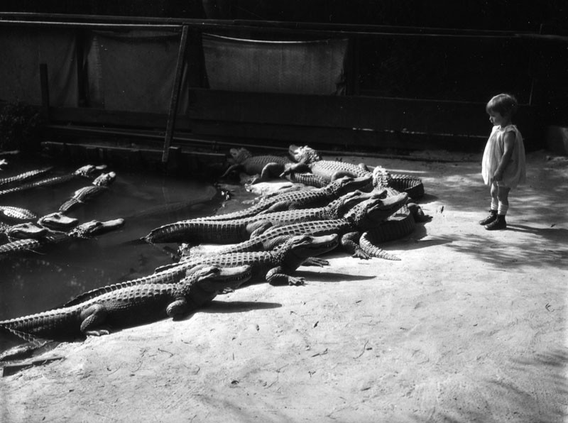 Блог - 22 крутые исторические фотографии, которые нигде не увидеть 22 крутые исторические фотографии, которые нигде не увидеть