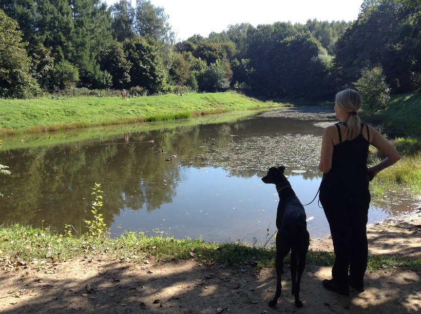 Бирюлевский дендропарк летом 