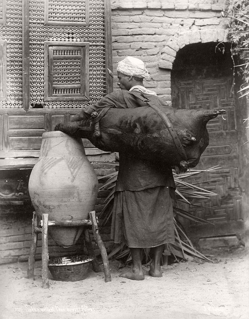 Блог - 30 фото, на которых запечатлена повседневная жизнь Каира и его достопримечательности 30 фото, на которых запечатлена повседневная жизнь Каира и его достопримечательности